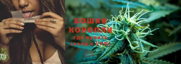 дмт Костерёво
