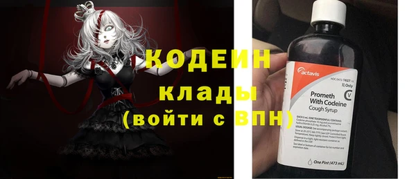 дмт Костерёво