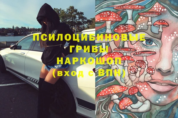 дмт Костерёво