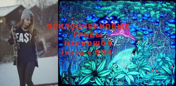 дмт Костерёво