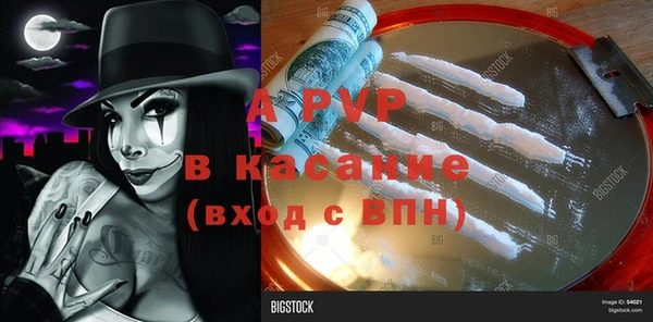 дмт Костерёво
