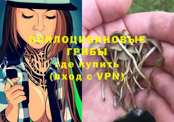 не бодяженный Корсаков