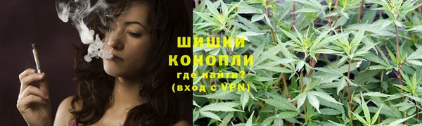 не бодяженный Корсаков